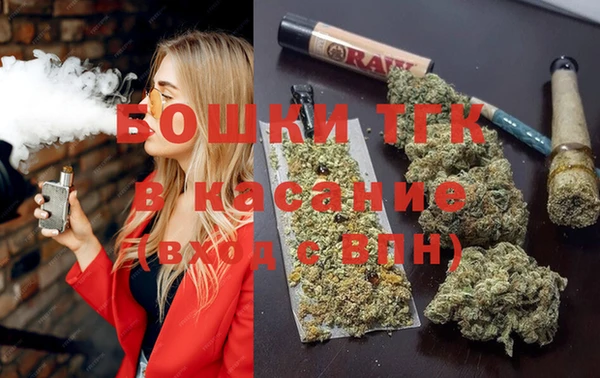 шишки Осташков