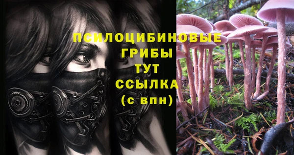 прущий лед Нязепетровск