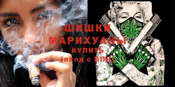 дмт Нягань