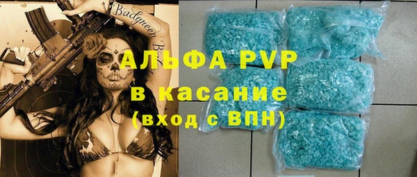 шишки Осташков