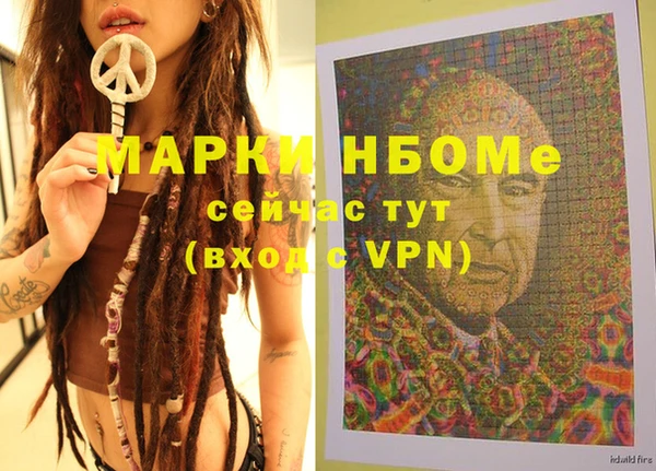 шишки Осташков