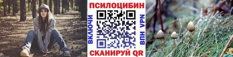 Галлюциногенные грибы Magic Shrooms  мега ссылки  Петровск-Забайкальский  где купить наркоту 